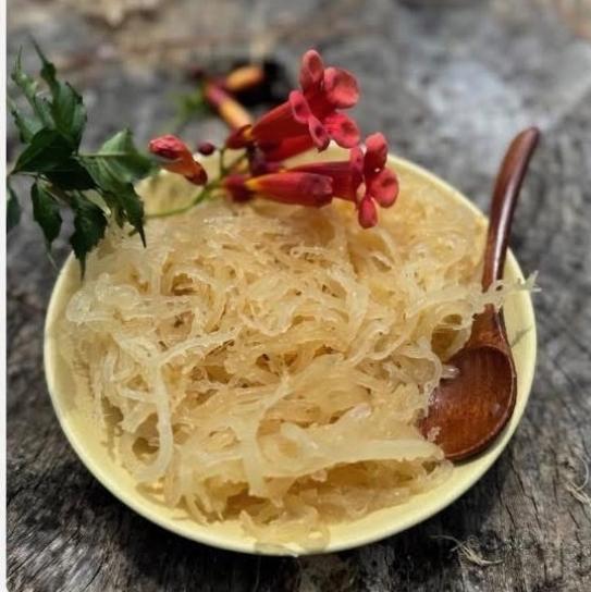 Bowl of raw wildcrafted sea moss